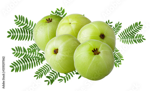 Obraz na płótnie Emblic or Indian gooseberry leaves isolated on a transparent background w salonie