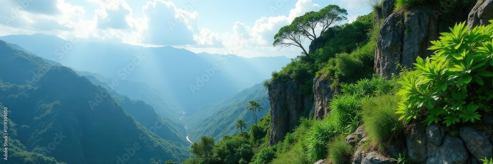 Vertical growth of plants on a rocky mountain slope, tropical, xo xo, landscape Vertical growth of plants on a rocky mountain slope, tropical, xo xo, landscape
