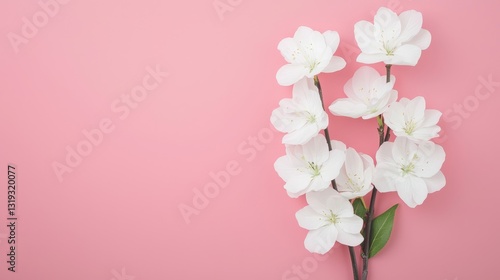 A delicate arrangement of white flowers against a soft pink background, creating a fresh and elegant aesthetic.