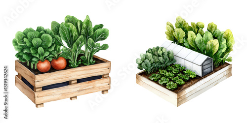 Two wooden crates filled with various types of leafy greens and a greenhouse, showcasing fresh vegetables and vibrant plant life.
