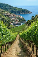 Crédence de cuisine  Vineyard Row View. Path through grape vines. Seaside village on hill. Green plants and blue sea. Summer day in Italy.  © angelmaxmixam