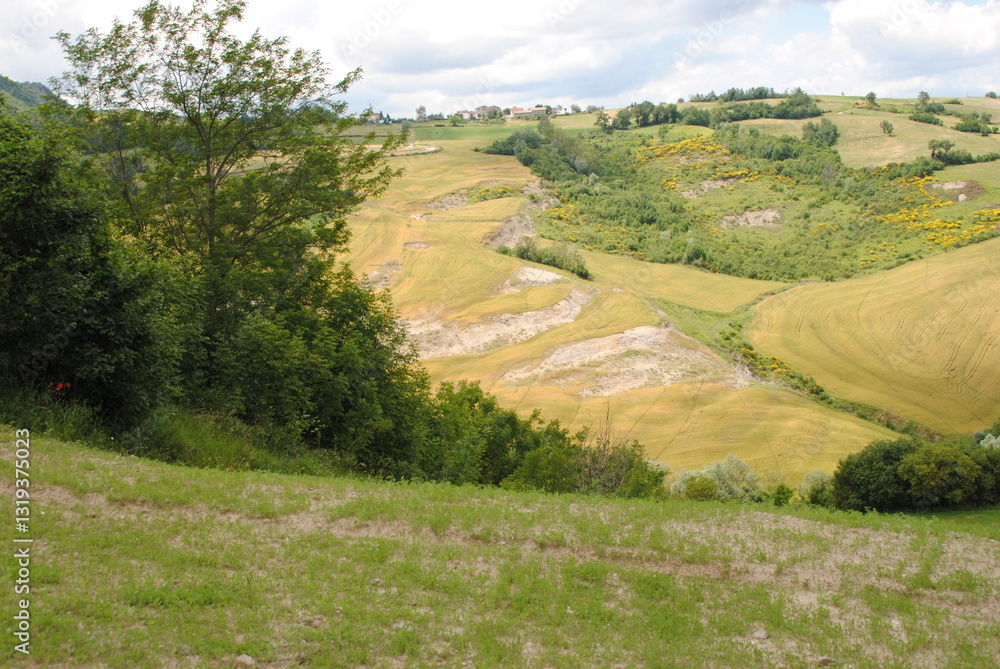 Italia in Frames: Journey Across Regions
