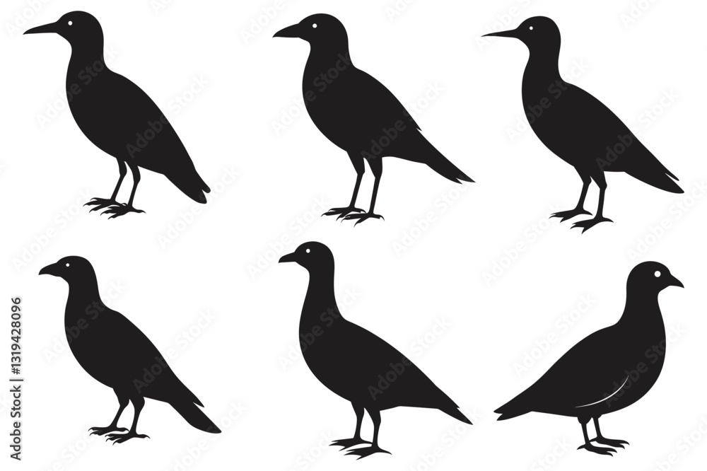 Fototapeta premium bird vector silhouette