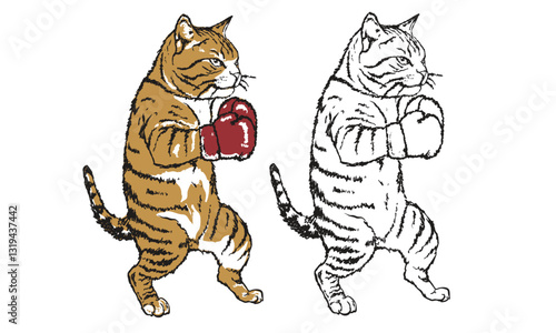 Boxing club artwork. Pet design. Cat boxing academy graphic print design.