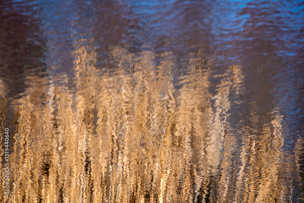 Obraz premium reflections of golden reeds and sky in river water