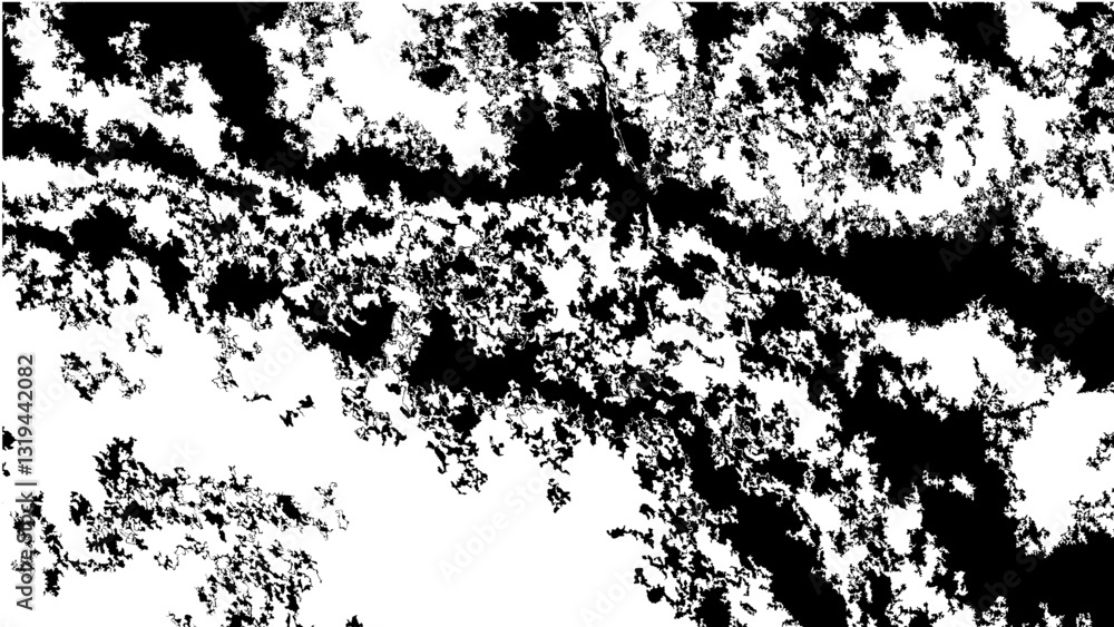 Fototapeta premium Abstract Black and White Pattern Resembling Fractal Nature Design