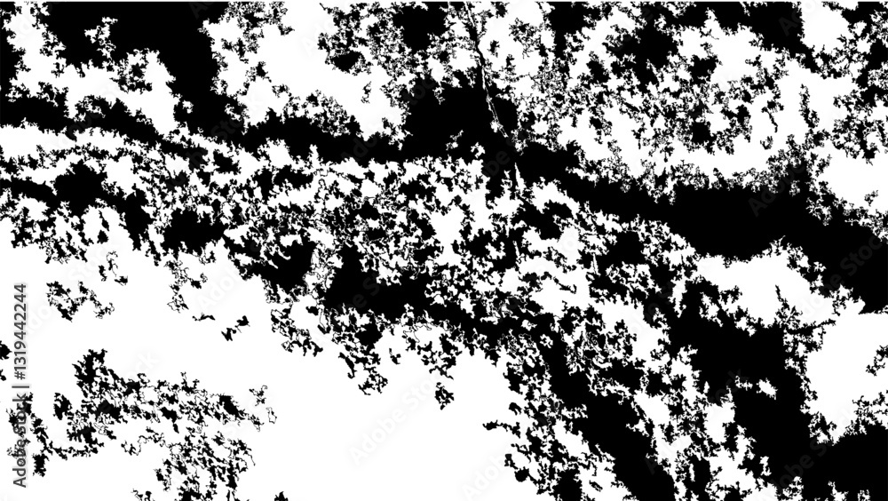 Obraz premium Abstract Black and White Pattern Resembling Fractal Nature Design