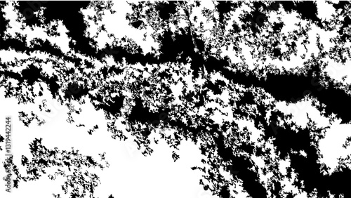 Abstract Black and White Pattern Resembling Fractal Nature Design