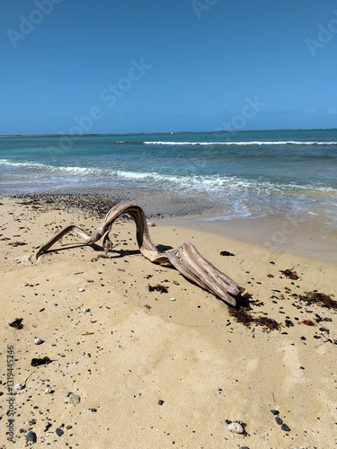 beach in the morning