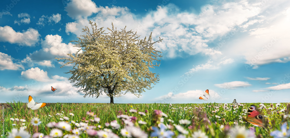 Meadow with a blossoming tree, butterflies, spring flowers, blue sky and white clouds