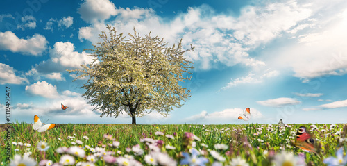 Obraz na płótnie Meadow with a blossoming tree, butterflies, spring flowers, blue sky and white clouds w salonie