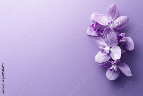 Wallpaper Mural A purple flower arrangement is on a purple background Torontodigital.ca