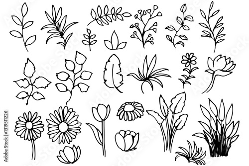 手書きの木の葉や花や草のボタニカル線画のイラスト　ベクター