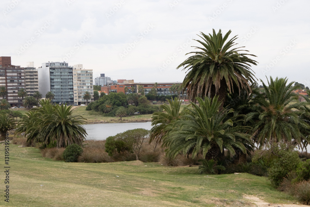Montevideo, Uruguay Montevideo, Uruguay