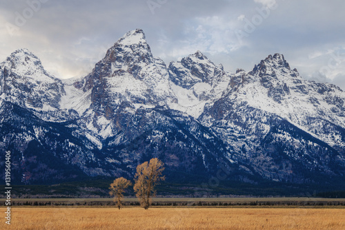 Grand Tetons
