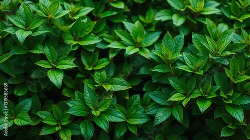 Lush Green Foliage Background for Design