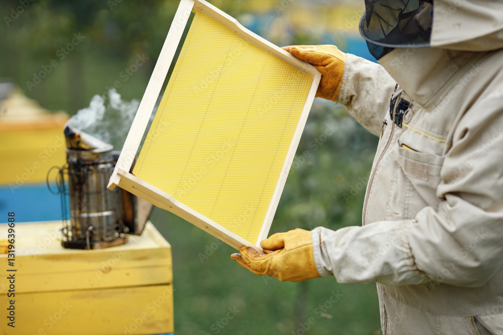 Beekeeper smoking honey bees with bee smoker on the apiary