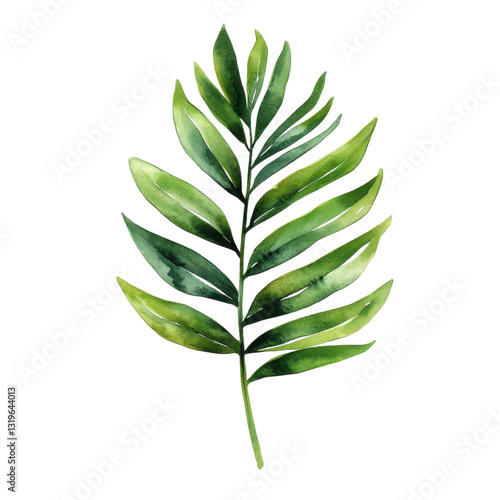 Lush green tropical palm frond watercolor botanical illustration isolated transparent background