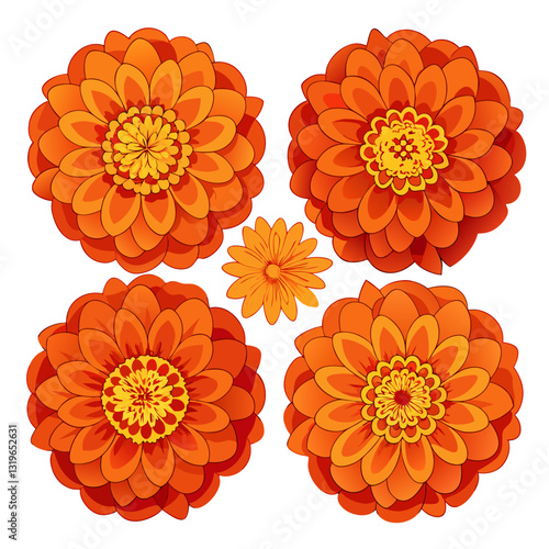 Radiant Zinnia Collection: An artful display of vibrant zinnia flowers showcasing a spectrum of orange hues, offering a touch of natural elegance and artistic flair.