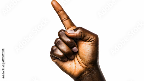 Hand Gestures, Index Finger Pointing Up,  Signaling Direction,  Attention,  Purposefully, Clearly.