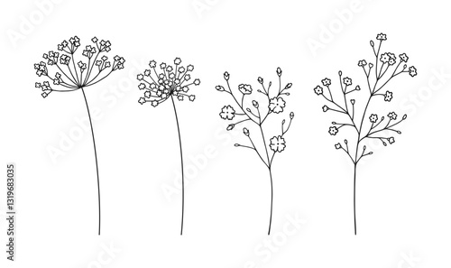Set of wildflower inflorescences in black line art style, on white background. Hand-drawn flowers and leaves. Wild plants and botanical elements for design projects. Vector illustration