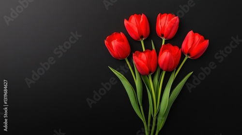 Elegant Red Tulips Against a Dark Background