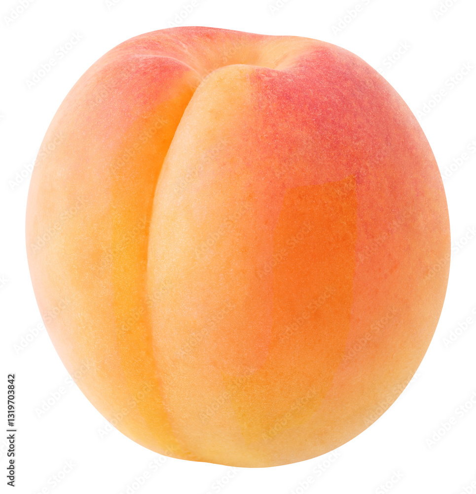 Isolated apricot, no background