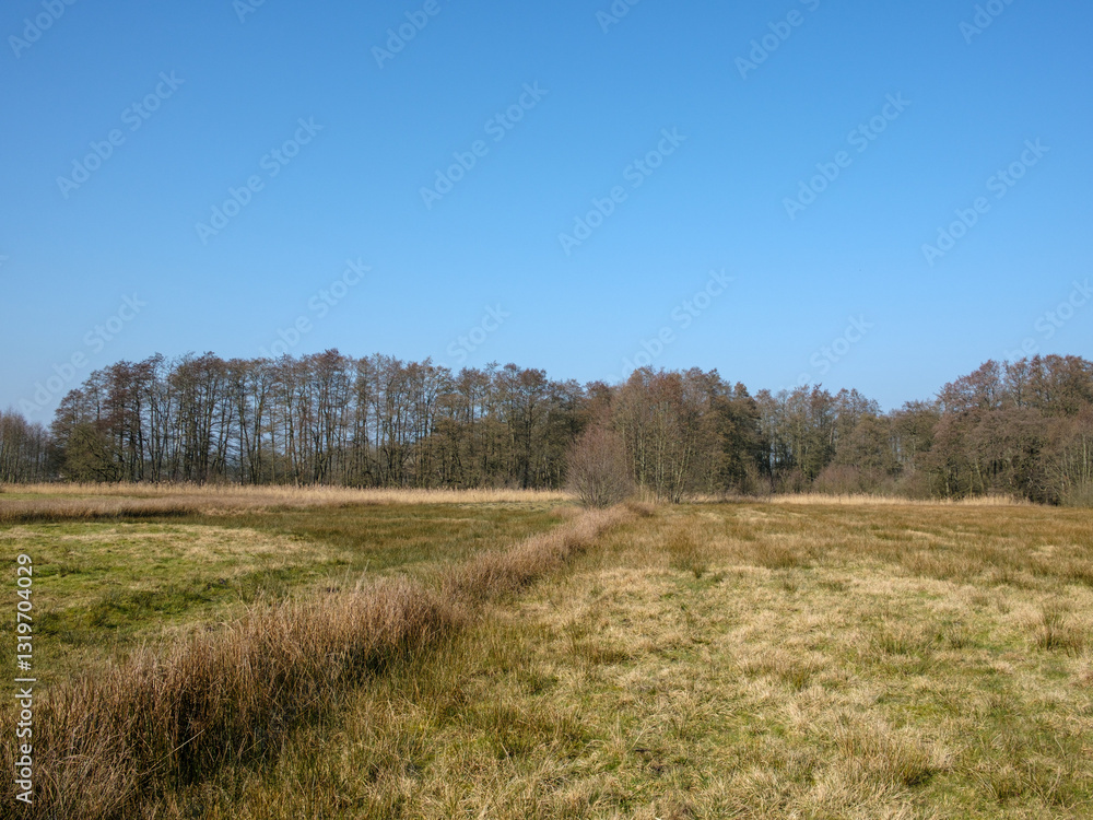 Fototapeta premium Nationaal Park Drentsche Aa, Tynaarlo, Drenthe province, The Netherlands