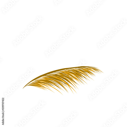 dry pampas grass