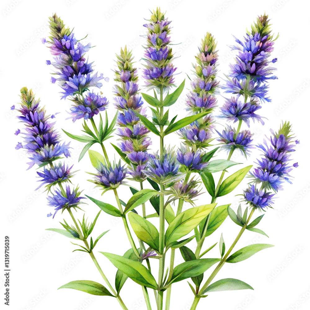 Naklejka premium Aromatic Blossoms: An exquisite watercolor illustration showcases a cluster of vibrant blue flowers, with detailed leaves. Capturing their beauty and delicate essence