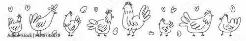 Vector collection of chickens hand drawn with thin line in doodle style