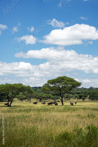 Panorama vom Grasland in der Savanne des Tarangire Nationalpark in Tansania, Afrika, mit einer Herde Elefanten, die langsam durch das hohe Gras ziehen (Hochformat)