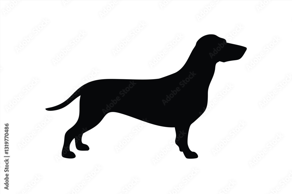Vector illustration of a dachshund dog silhouette on white background Vector illustration of a dachshund dog silhouette on white background