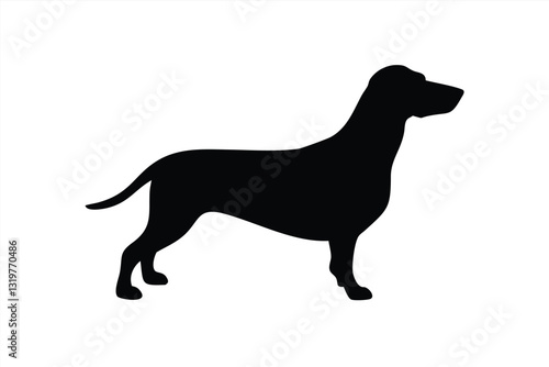 Vector illustration of a dachshund dog silhouette on white background