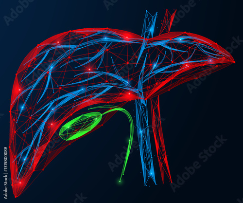 A human liver with a gallbladder and blood veins. Polygonal design of interconnected lines and dots.