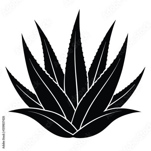 vector illustration of a leaf aloe-vera