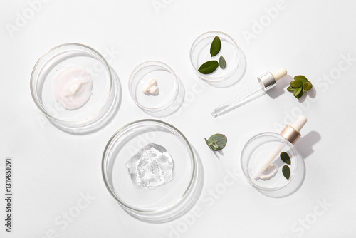 Petri dishes with samples o...
