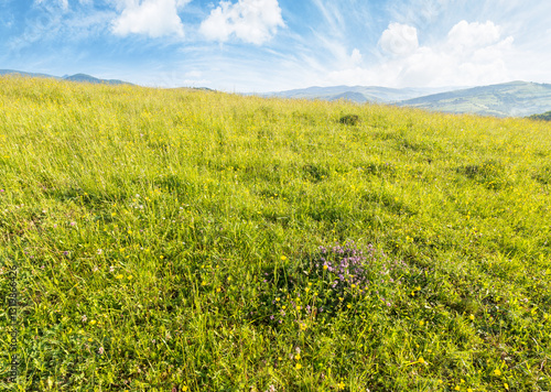 Obraz na płótnie mountainous countryside landscape in summer. outdoor adventure. grassy meadow on top of a hill. distant mountain ridge in morning light. sunny weather with clouds on the blue sky. lush wide field w salonie