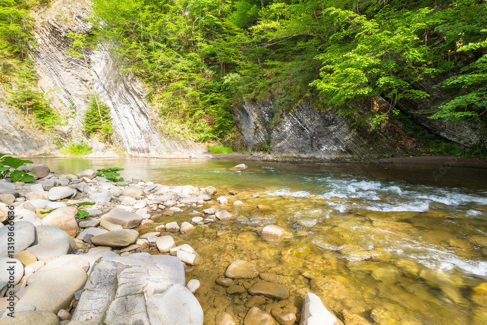 mountain river with stones on the shore. transparent water. scenic landscape with forest on the rocky mountain slope. nature scenery on a sunny summer day. travel background