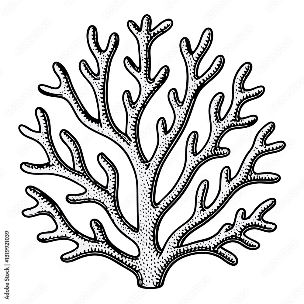 Obraz premium an intricate vector illustration of a coral, detailed and in a hand-drawn style