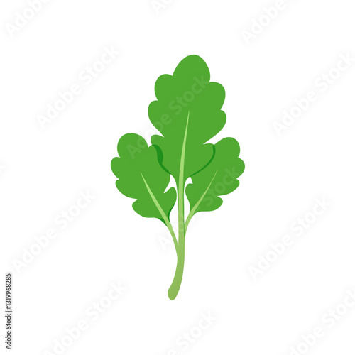 Arugula Vector Silhouette Illustration - White Background, Clipart, Cartoons & Line Art, Arugula vector silhouette design, perfect for healthy food graphics and illustrations.