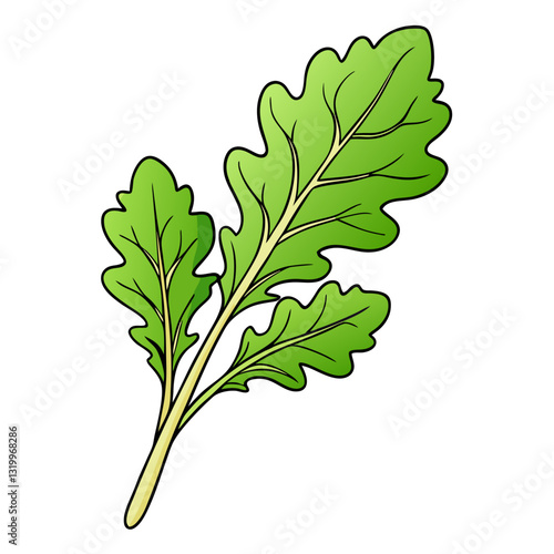 Arugula Vector Silhouette Illustration - White Background, Clipart, Cartoons & Line Art, Arugula vector silhouette design, perfect for healthy food graphics and illustrations.