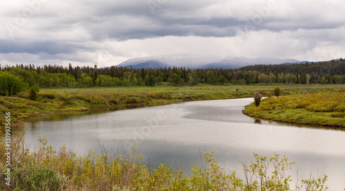 Yellowstone River at Yellowstone National Park with dramatic sky and forest