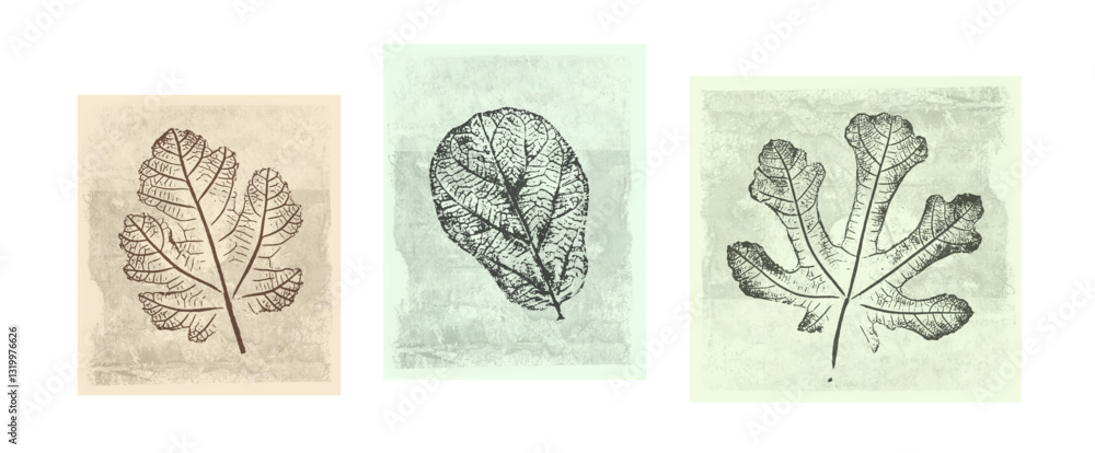 Fototapeta premium Boxed Set Fig Leaves 1