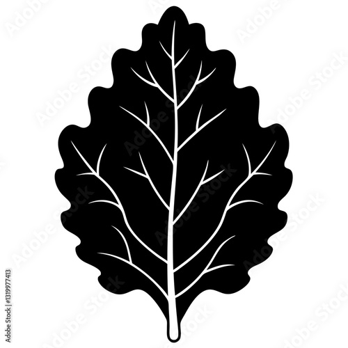 Vector Silhouette Kale Illustration, Clipart, Cartoons, Line Art, and Design on White Background, Vector kale silhouette illustration in clipart, cartoon, and line art styles on white.