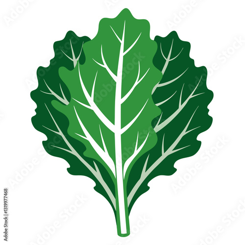 Vector Silhouette Kale Illustration, Clipart, Cartoons, Line Art, and Design on White Background, Vector kale silhouette illustration in clipart, cartoon, and line art styles on white.