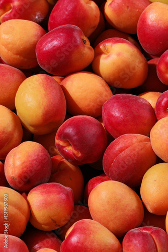 Fresh nectarines stacked together, with bright, vibrant skin showcasing their juicy, sweet flesh inside