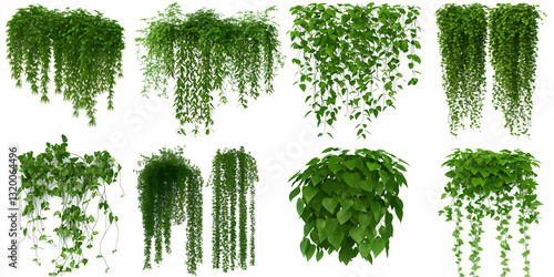Obraz na płótnie 3D Render of Eight Lush Hanging Green Vines Isolated on White Background for Design Elements w salonie
