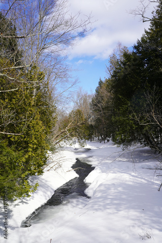 A stream winding through a snow-covered forest, highlighting the transition from winter to early spring.  Coniferous trees and bare branches frame the narrow waterway under a partly cloudy sky.