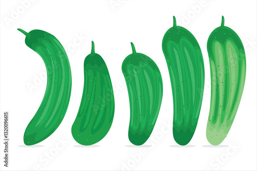 Cucumber vegetable vector. Fresh and healthy vegetable illustration. Cucumber vegetable isolated